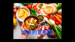 17(b) 食素的重要性 (2022 年录制)