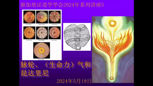 25 《脉轮、气和昆达里尼》(2024年5月19日,带问答)