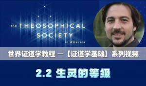 2.2 生灵的等级