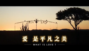33(b) 《爱是什么 - 爱是平凡之美》